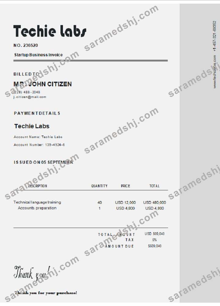 USA Techie Labs invoice